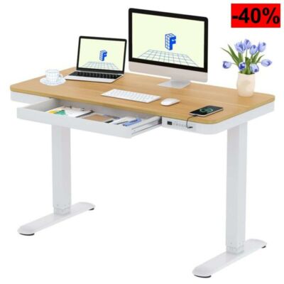 FLEXISPOT Escritorio Elevable 120x60 cm